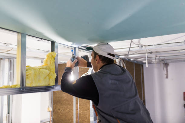 Best Residential Insulation in Davie, FL