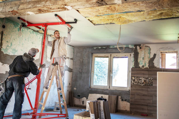Best Commercial Insulation in Davie, FL